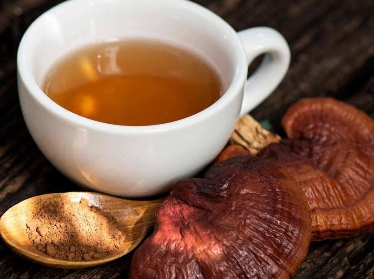  Rishi Mushroom Tea – রিশি মাশরুম চা: Mushroom of Immortality